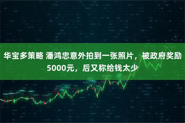 华宝多策略 潘鸿忠意外拍到一张照片,被政府奖励5000元,后又称给钱太少